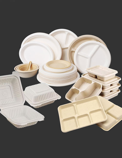 Bagasse Products